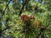 P7240252_small