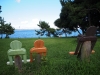 P7240254_small